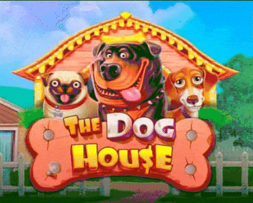 The Dog House im 7Oasis Casino spielen